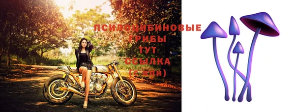 метадон Абаза