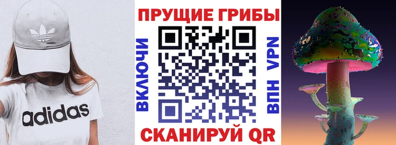 Галлюциногенные грибы мицелий где можно купить blacksprut зеркало Сычёвка